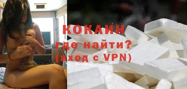 винт Инта