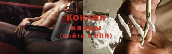 винт Инта