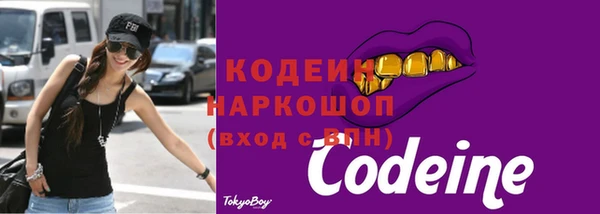 винт Инта