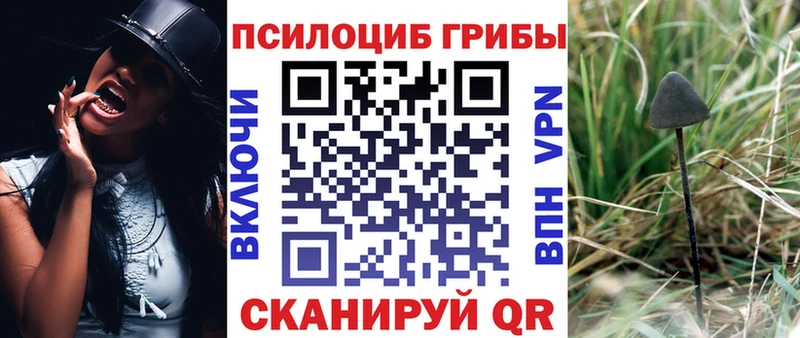 магазин продажи   Кольчугино  Псилоцибиновые грибы MAGIC MUSHROOMS 