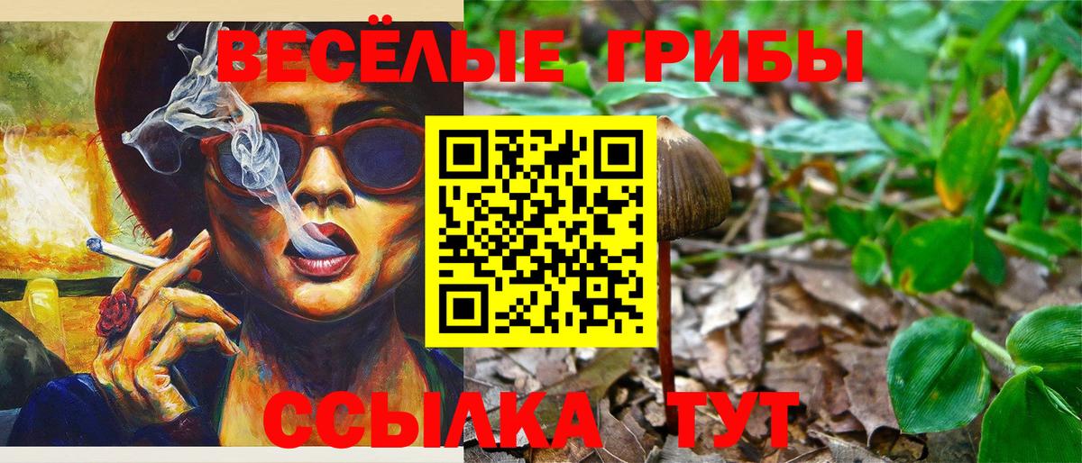 Галлюциногенные грибы мухоморы Кольчугино