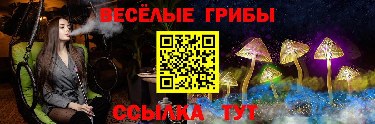 закладка  Псилоцибиновые грибы Psilocybe  Вход с VPN  Кольчугино 